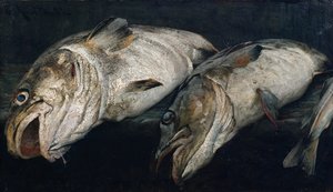 Kabeljauw door Fredrik Kolstoe