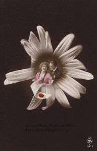 Een jong koppel in het midden van een bloem met een lieveheersbeestje door French Photographer