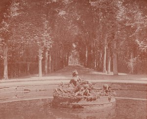 Bassin van Flora, Park van Versailles door French Photographer