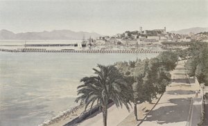 Cannes, Haven en Oude Stad, Boulevard de la Croisette door French Photographer