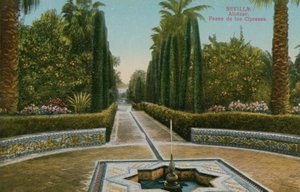 Cypress Walk, Alcazar, in Sevilla, Spanje