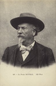 Frederic Mistral (1830-1914), Franse dichter en lexicograaf van de Occitaanse taal door French Photographer