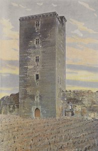Montaner, Donjon en vestingwerken