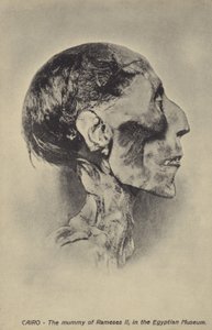 Mummie van Ramses II door French Photographer