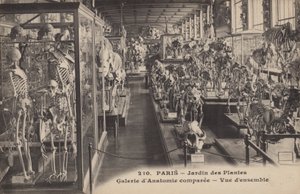 Parijs, Jardin Des Plantes door French Photographer