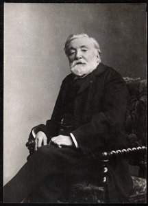 Portret van Etienne Charles Henri, burggraaf de Bornier