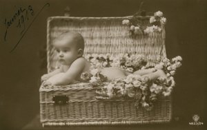 Ansichtkaart van een baby in een rieten mand met bloemen, verzonden in januari 1913 door French Photographer