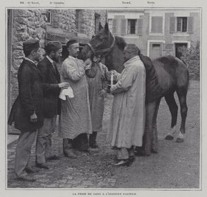 Een bloedmonster nemen van een paard bij het Institut Pasteur, Parijs door French Photographer