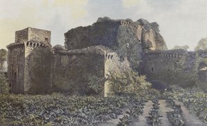 Tiffauges, Ruïnes van het Kasteel, Uitzicht vanaf de binnenplaats door French Photographer