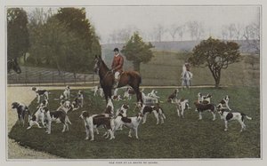 Tom Firr en de honden van de Quorn Hunt, Leicestershire door French Photographer