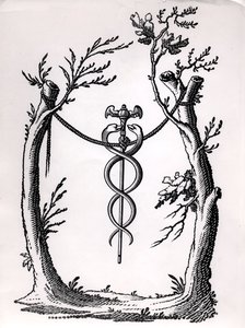 Een caduceus door French School
