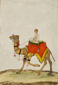 Een kameel met zijn berijder die drums speelt, ca. 1840 door French School