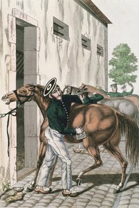 Een Dragonder die zijn paard verzorgt, plaat 257 uit een serie van Franse Keizerlijke soldaten, ca. 1800-10 door French School