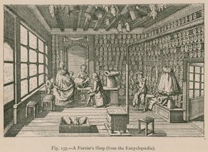 Een bontwinkel (uit de Encyclopaedia)