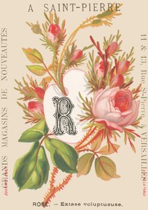 Roze - Wellustige extase