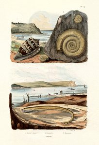 Admiraal Cone, 1833-39