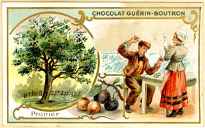 Advertentie chromolithografie van Guérin Boutron chocolade