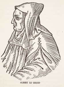 Albert de Grote