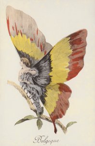 Allegorische afbeelding van België als vlinder (kleurenlitho)