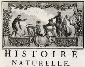 Allegorie van de Natuurlijke Geschiedenis over de apen - in 