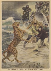 Een ontsnapte jaguar los op een schip