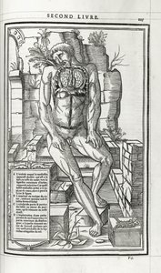 Anatomische illustratie, 1546 door French School