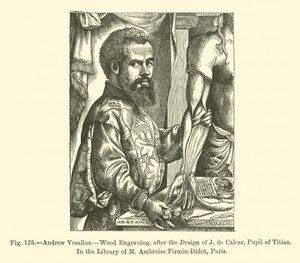 Andreas Vesalius