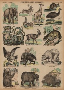 Dieren van de Jardin des Plantes, Parijs, Frankrijk door French School