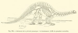 Dieren uit de Jura-periode, de brontosaurus door French School
