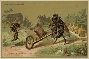 Au Bon Marche kaarten met antropomorfe insecten