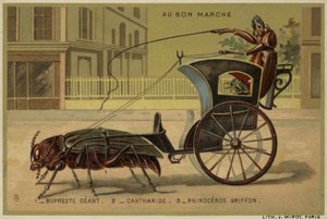 Au Bon Marche kaarten met antropomorfe insecten