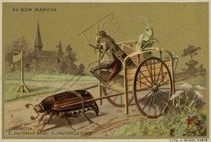 Au Bon Marche kaarten met antropomorfe insecten