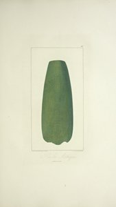 Azteekse bijl, illustratie uit 