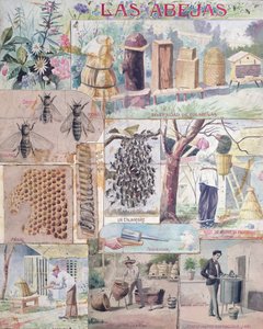 Bijencultuur, illustratie gemaakt in Frankrijk bedoeld voor publicatie in Mexico, ca. 1900