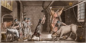 Slager - Slagerij - La Grande Encyclopedie, ou Dictionnaire Raisonne des Sciences, des Arts et des Metiers door Denis Diderot en Jean d