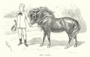Jongen met een Iers pony (gravure)