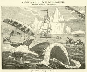 Kano in de lucht gelanceerd door een walvis (gravure)