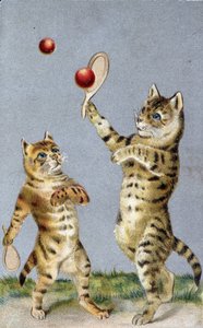 Katten die tennis spelen - ansichtkaart begin 20e eeuw