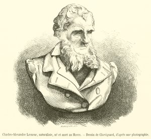 Charles-Alexandre Lesueur, natuuronderzoeker, geboren en gestorven in Le Havre (gravure)