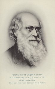 Charles Darwin (1809-1882), Engels natuuronderzoeker (litho) door French School