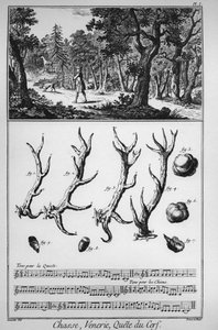 Jacht - de zoektocht naar het hert - La Grande Encyclopedie, ou Dictionnaire Raisonne des Sciences, des Arts et des Metiers door Denis Diderot en Jean d
