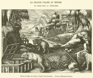 Chasse du tigre au miroir