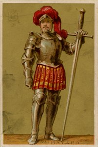 Ridder van Bayard
