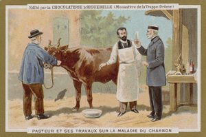 Chocolat d