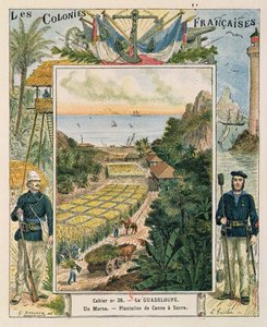 Omslag voor een schoolschrift met een suikerrietplantage in Guadeloupe door French School