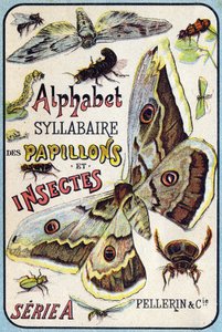 Omslag van "Syllabary alfabet van vlinders en insecten" door French School