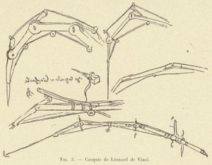 Schets van Leonardo da Vinci door French School