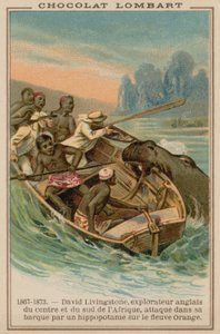 David Livingstones boot aangevallen door een nijlpaard op de Oranjerivier, Afrika, 1867-1873