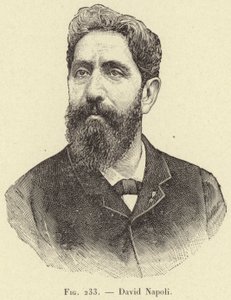 David Napoli door French School