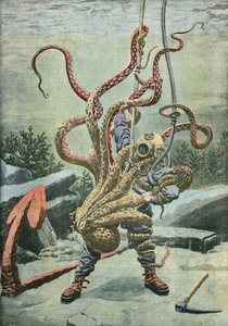 Duiker aangevallen door een octopus